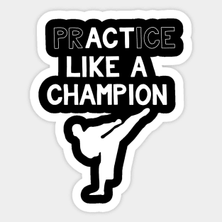 Practice Like a Champion Karate Sticker